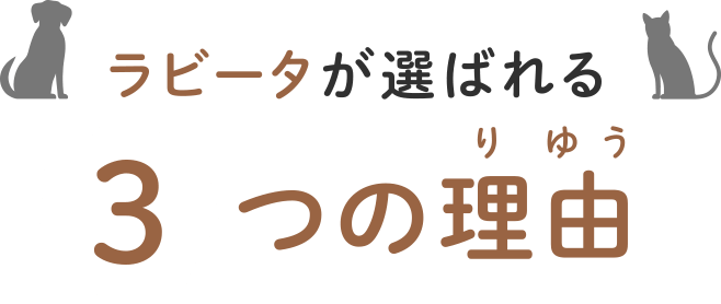 ラビータが選ばれる3つの理由